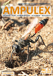 Ampulex 12 Cover
