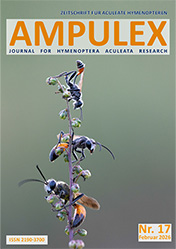 Ampulex 17 Cover